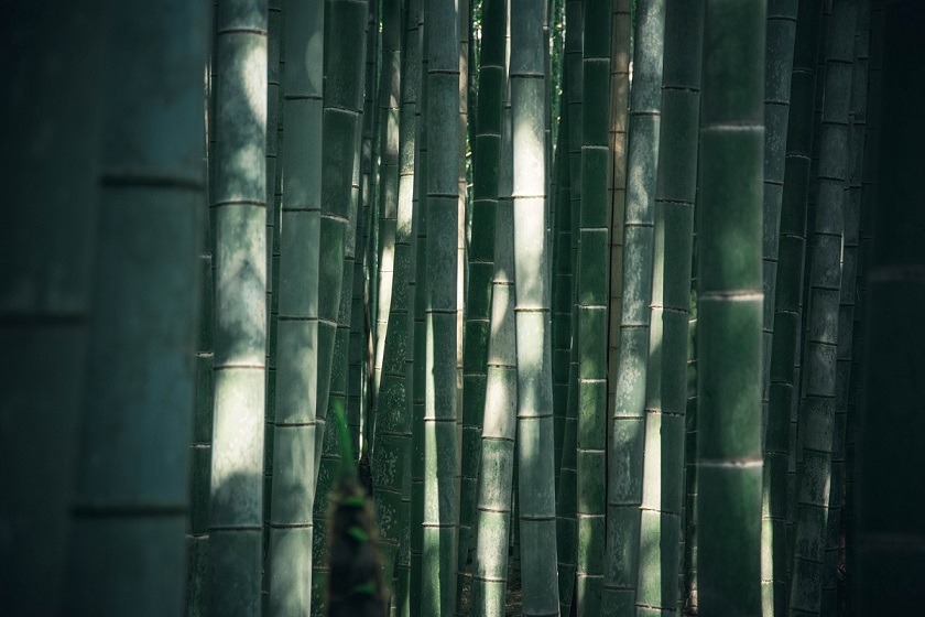 竹包裝,替代包裝材料